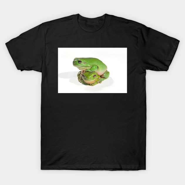 two litoria caerula green tree frogs one on top of the other T-Shirt by clearviewstock